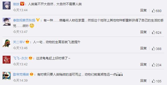 近2000萬小海龜孵化奔向大海 網(wǎng)友：這波龜龜趕上好時候了